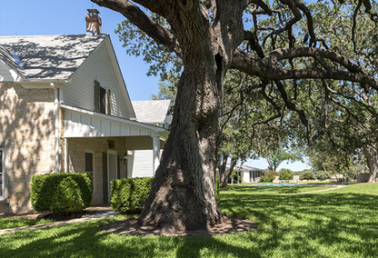 Exterior shot of a house