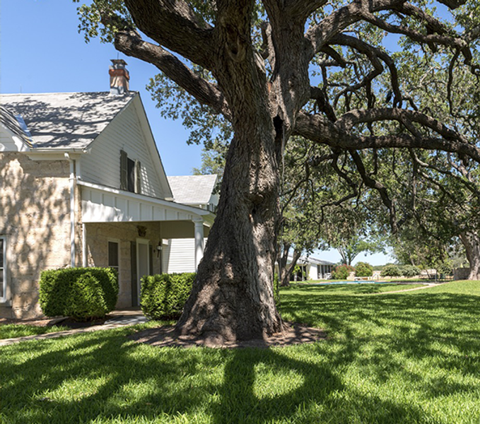 Exterior shot of a house